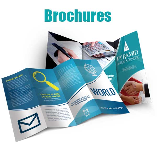 Business brochures Siren Media Marketing