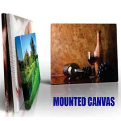 Canvas - Rolled or Mounted
