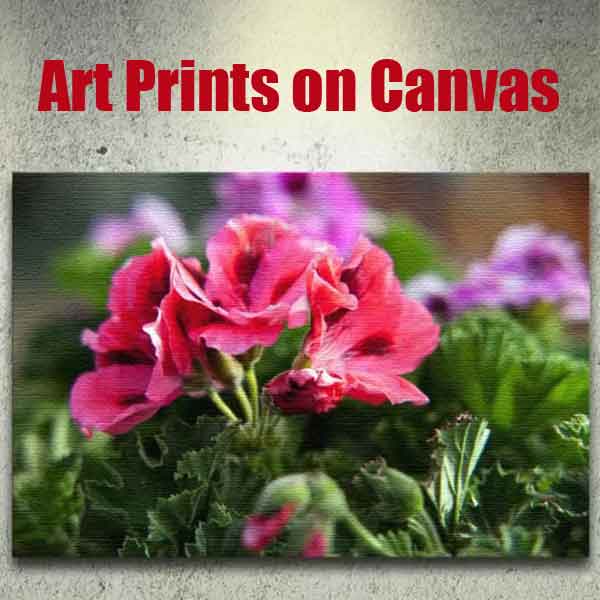 Art On Canvas – Top Decorating Ideas